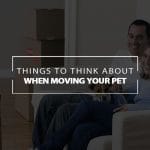 things to think about when moving your pet