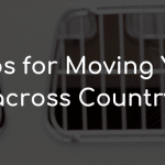 Tips for Moving Your Pets across Country