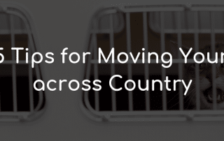 Tips for Moving Your Pets across Country