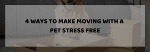 Pet During Moving