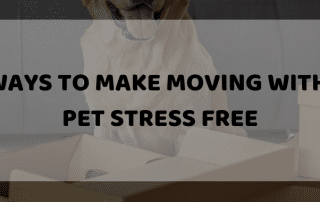Pet During Moving
