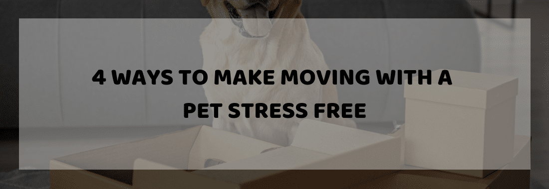 Pet During Moving