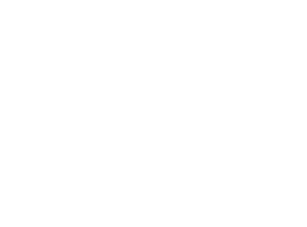 Celebrating 20 Years In The Moving Business